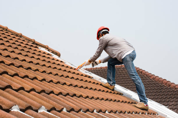 Best Roof Moss and Algae Removal  in Kermit, TX